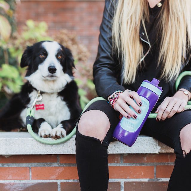 Dog Water Bottle Asobubottle.com