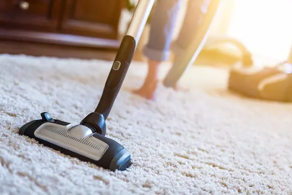 How Long Does It Take Carpets to Dry After Cleaning?