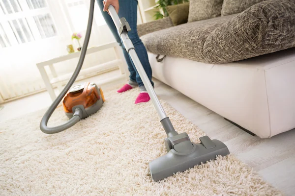 How to Disinfect Carpet Messes