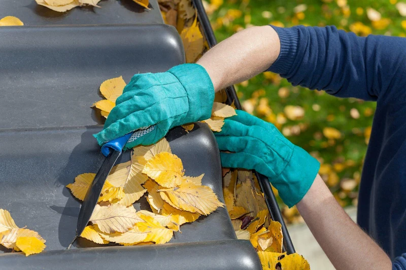 flat roof maintenance