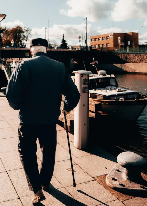 walking canes for men